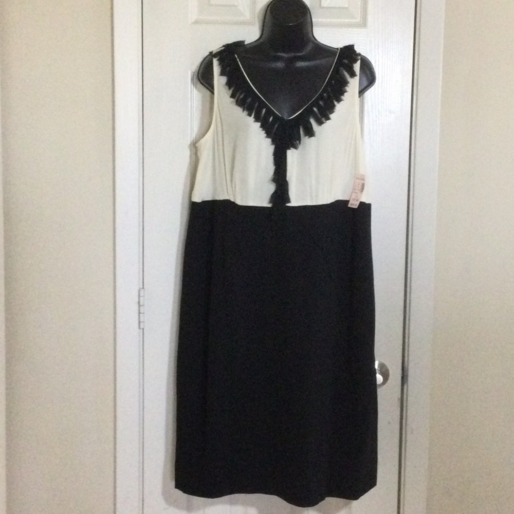 🚨50%off📦Dressbarn Dress nwt